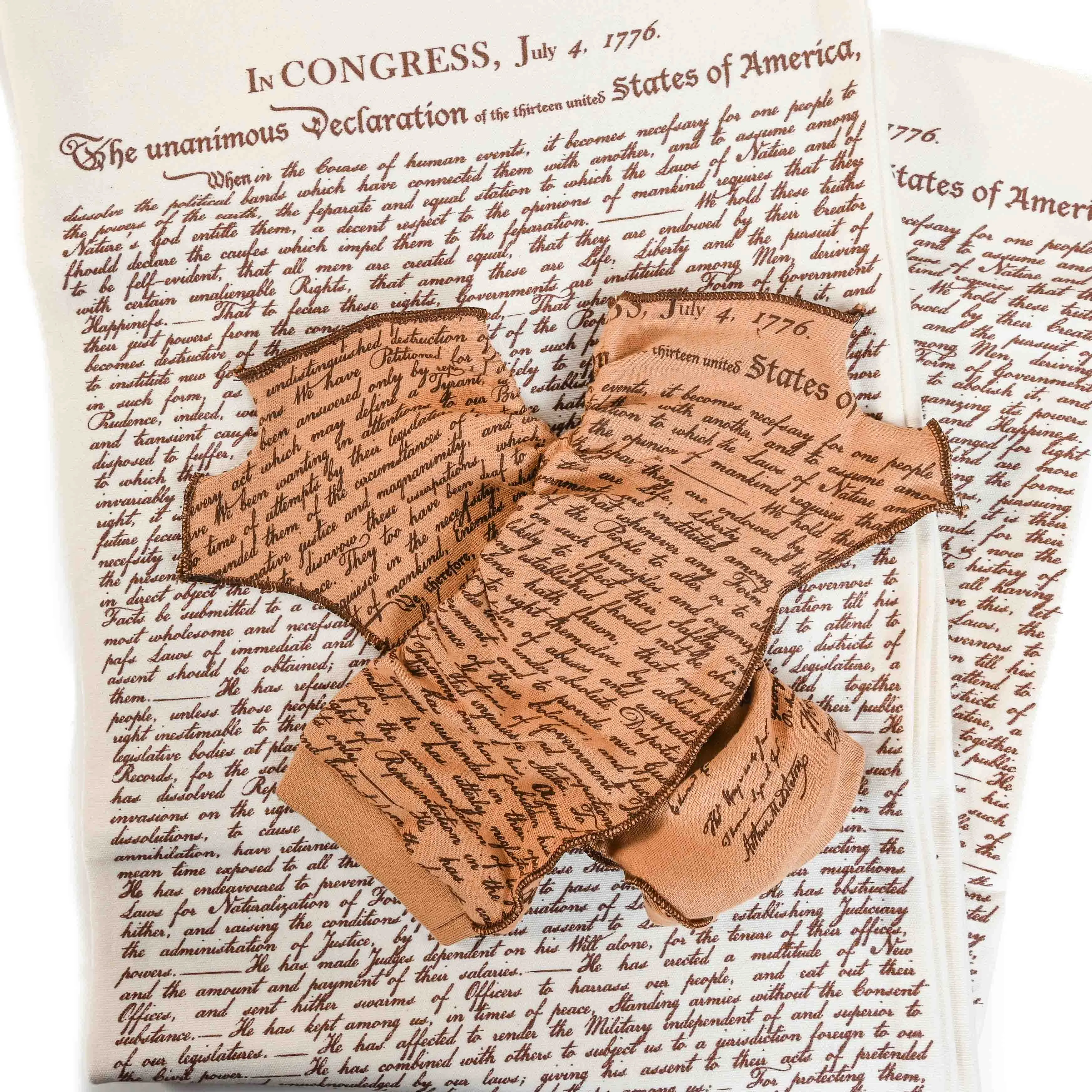 Declaration of Independence Writing Gloves