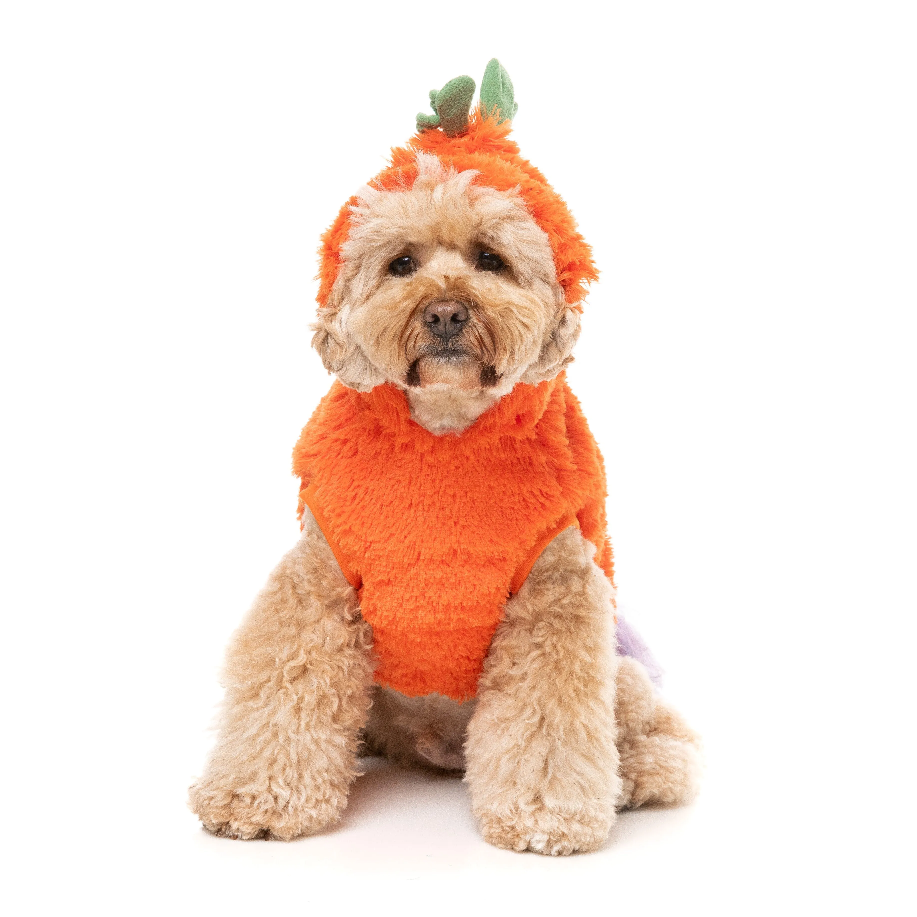 FuzzYard Halloween Dog Apparel Pumpkin Head Hoodie Size 3