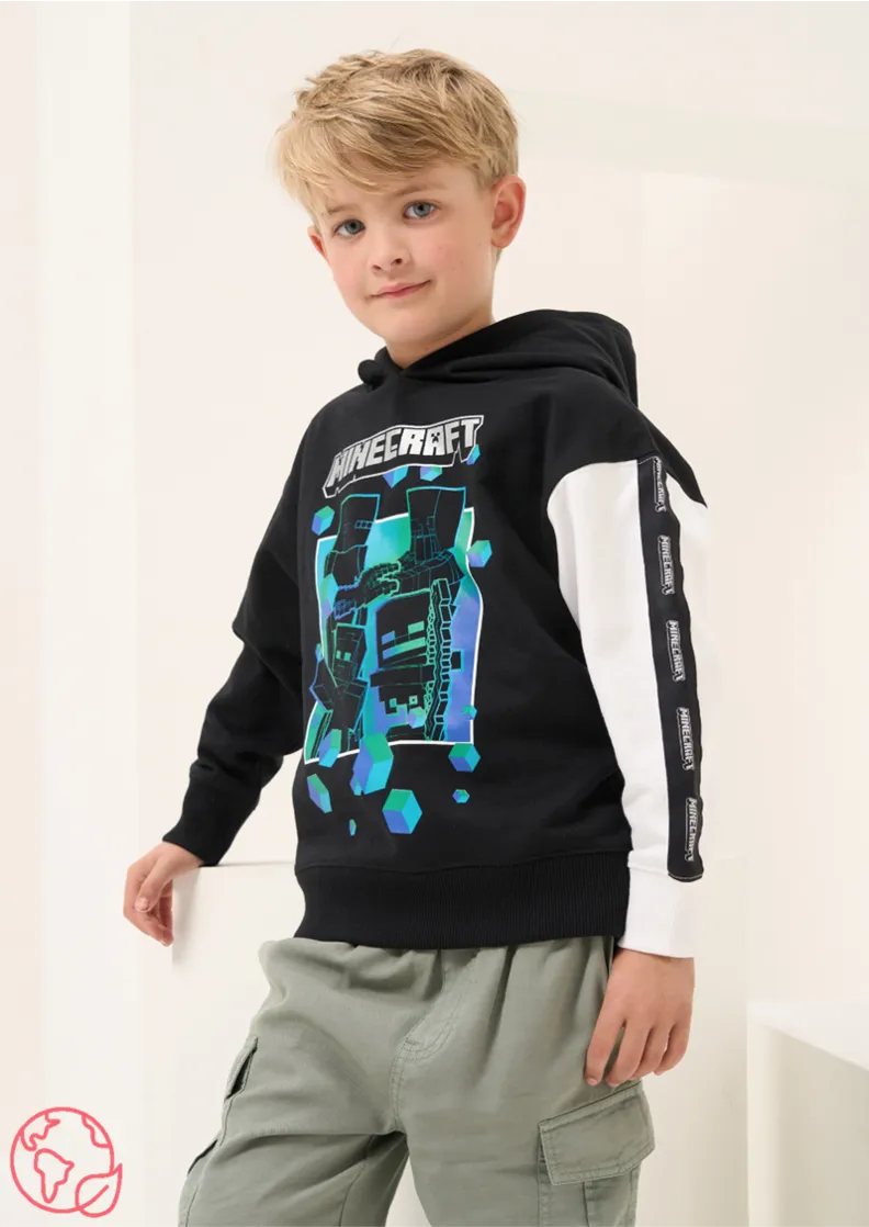 Minecraft Colourblock Hoodie