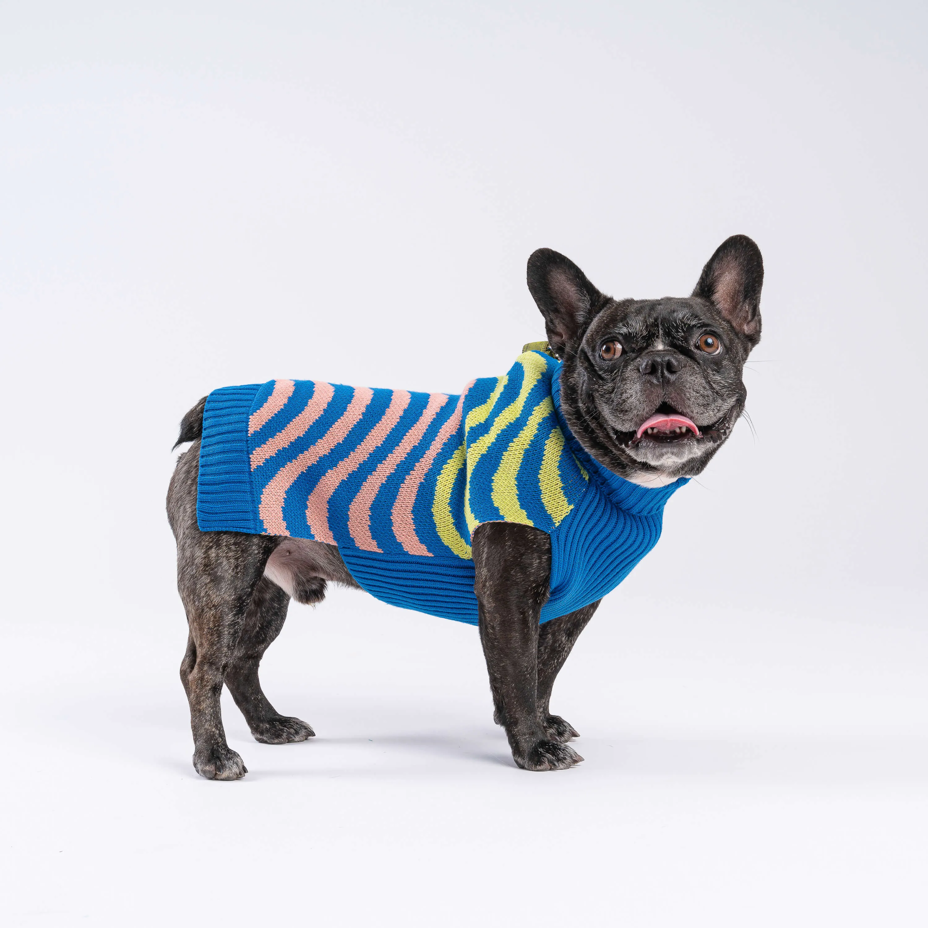 Sound Wave Dog Sweater