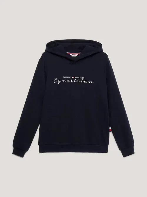 Tommy Hilfiger Metallic Graphic Logo Hoodie